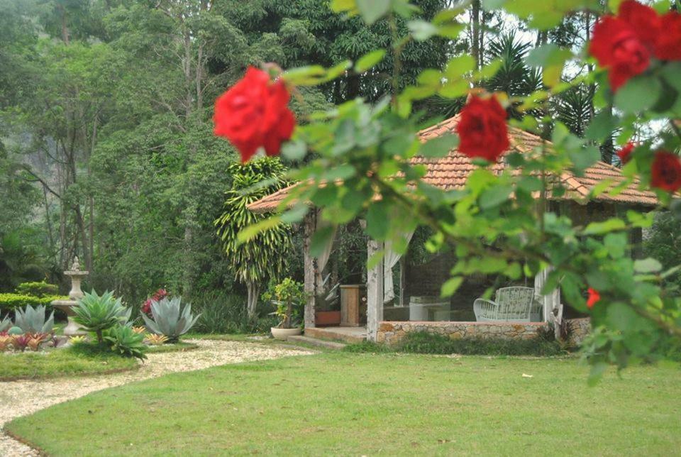 Pousada Quinta Dos Passaros Itaipava Luaran gambar